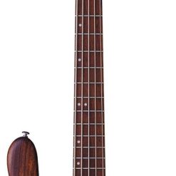 Washburn T25NMK 5 String Taurus Electric Bass Guitar with Natural Matte Finish